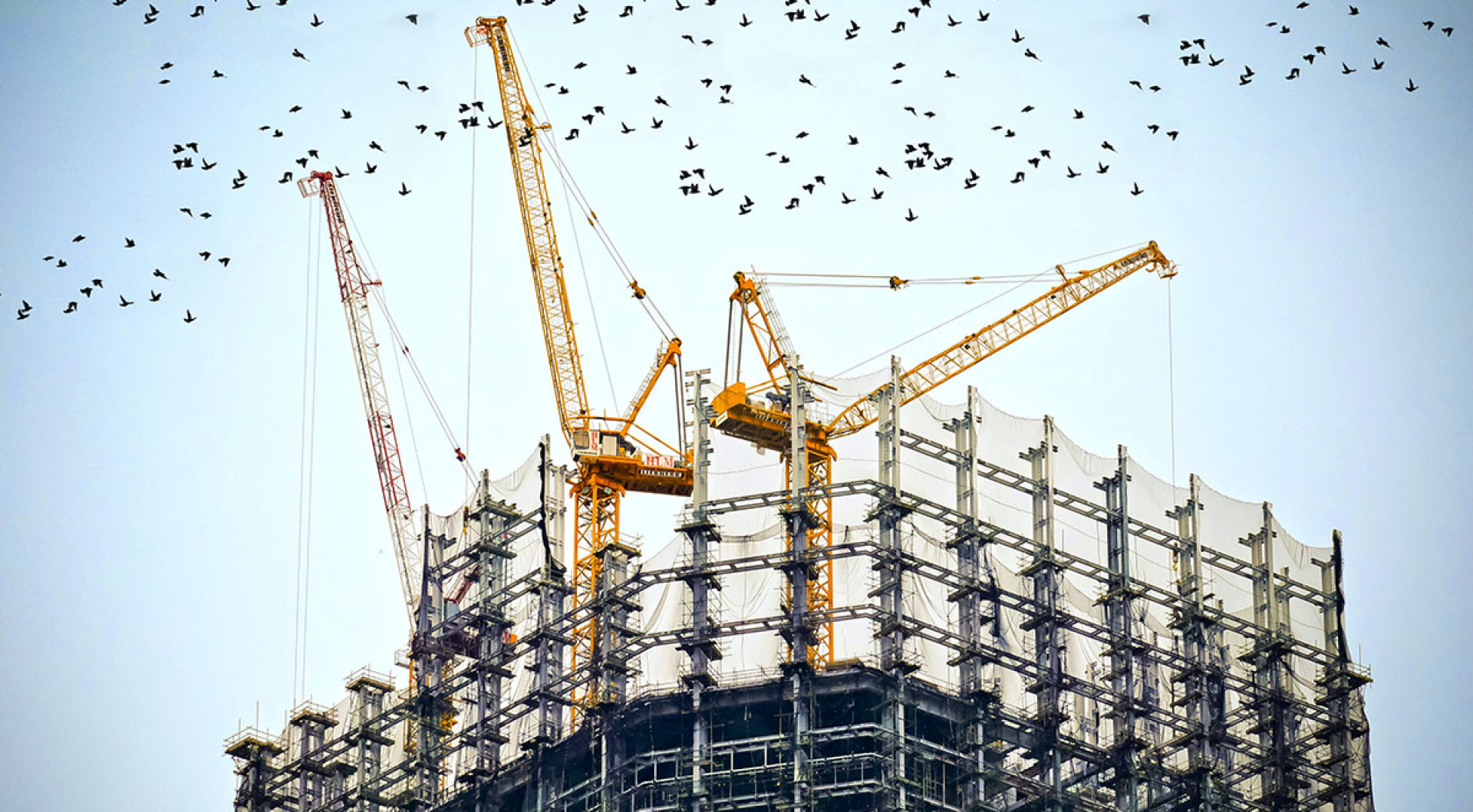 Choosing the Right Crane Rental Company for Installing Structural Steel