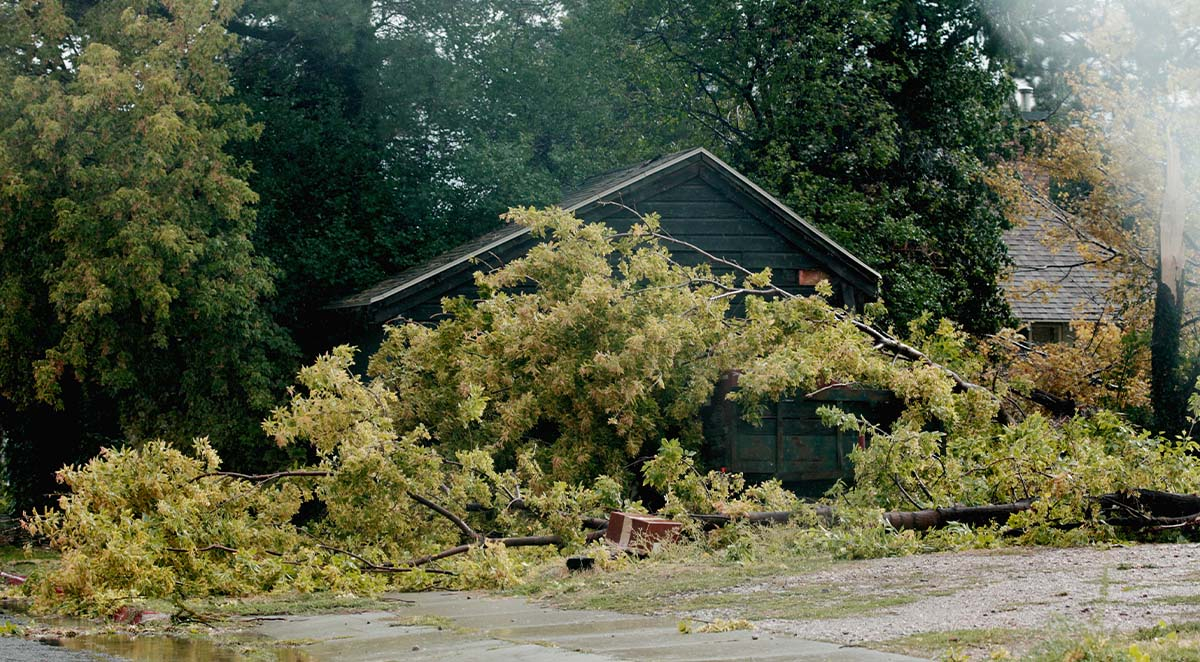 42121f00ffc451d0c288e11c1f28cbd4_L image Why You Need a Crane for Storm and Disaster Cleanup Projects