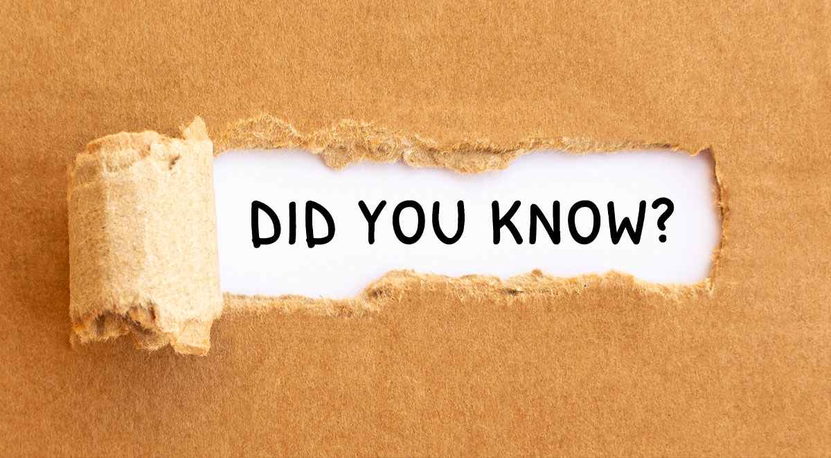 What To Know About Hydraulic Cranes